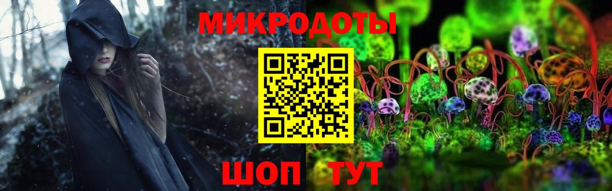 Галлюциногенные грибы Psilocybe  Вход с VPN  сколько стоит  Гай 